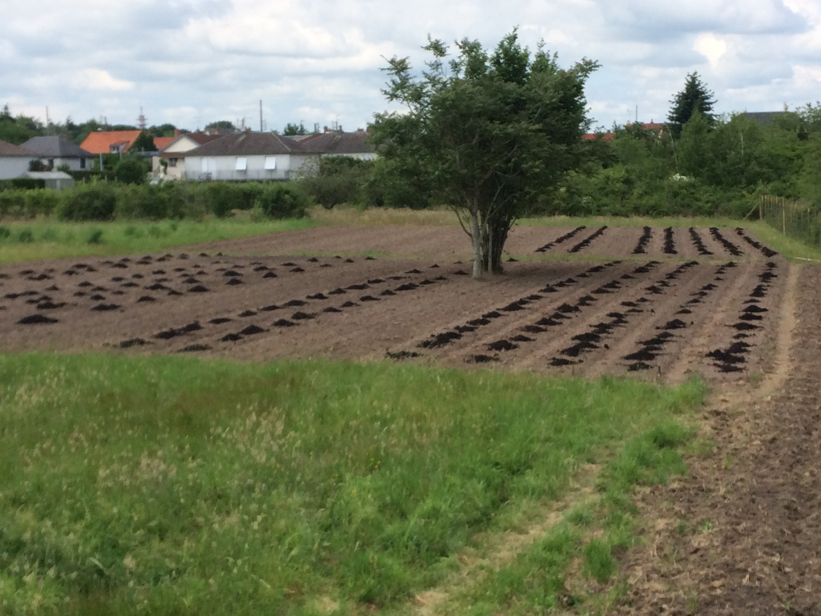 La nourriture pour le sol La ferme urbaine 9TER Le Jardin